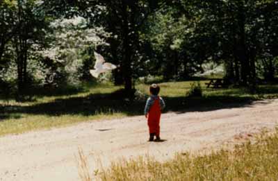Ghislain et l'oiseau